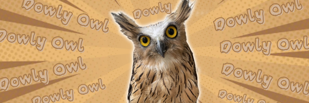 Dowly Owl Banner